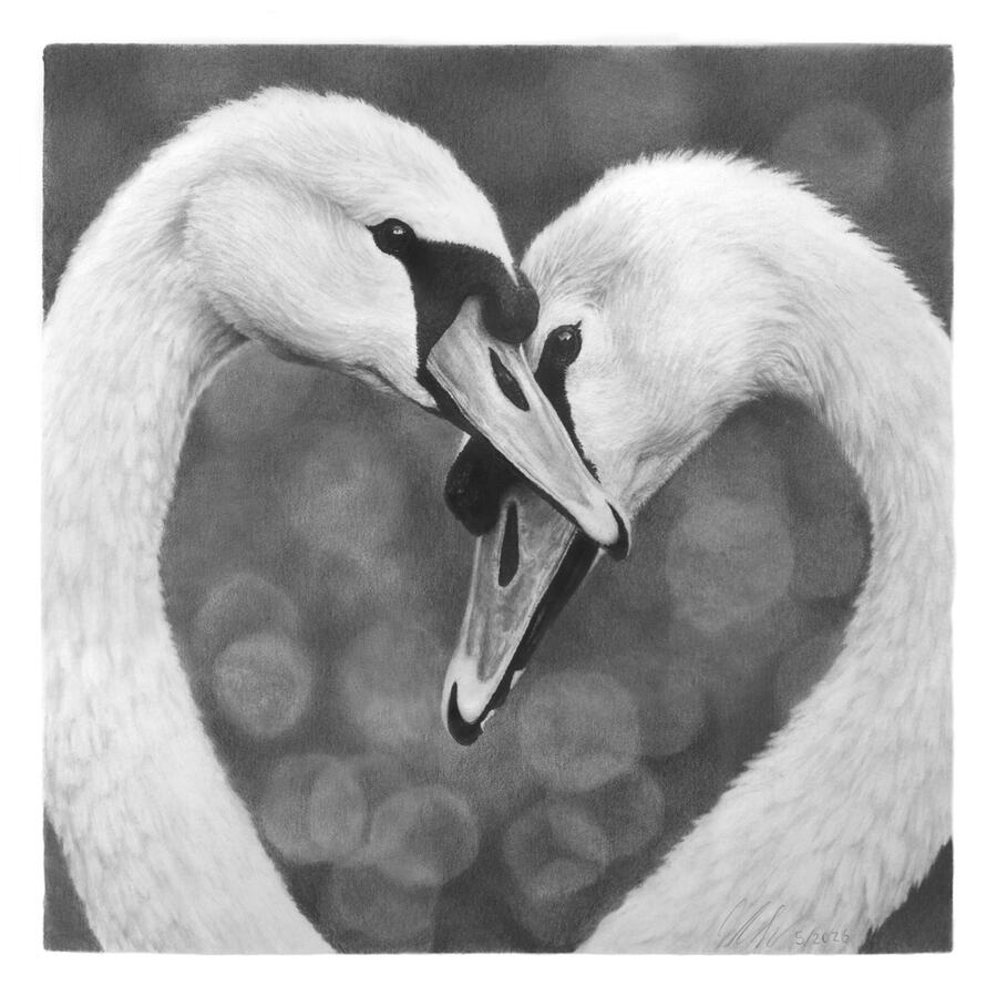 Shape of us (Geese)
