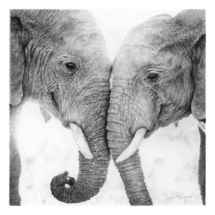 Stand with me (Elephants) Stand with me (Elephants)