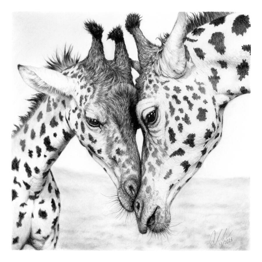 Lean in (Giraffes)