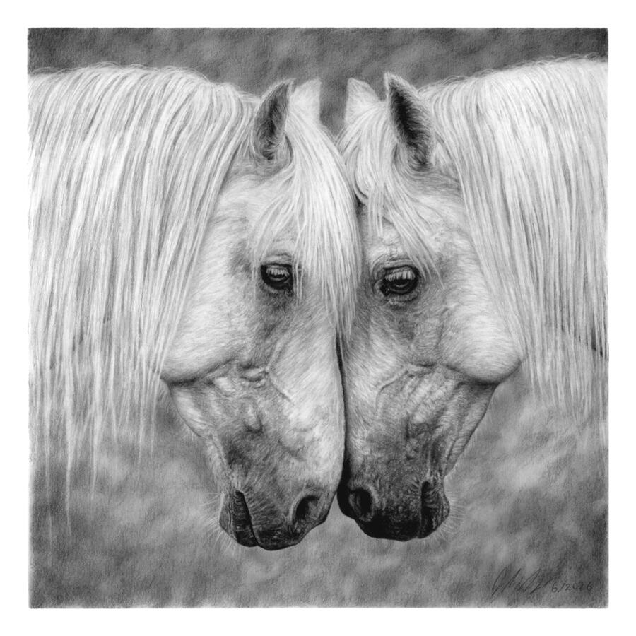 Quiet Strength (Horses)