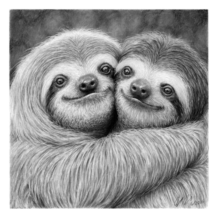 Hold me Close (Sloths)